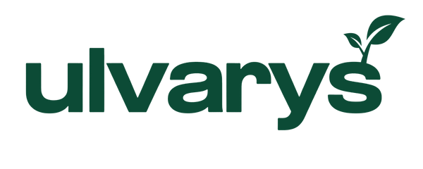 Ulvarys 1